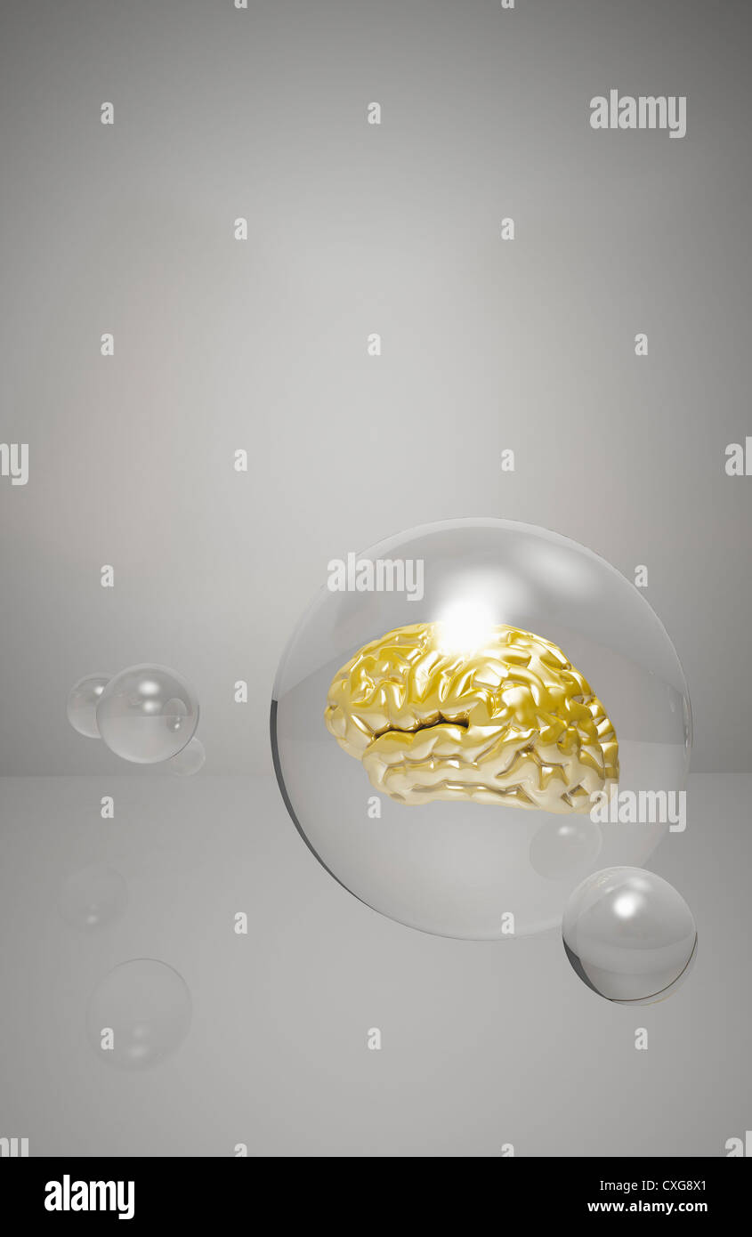 Golden cervello in una sfera trasparente Foto Stock