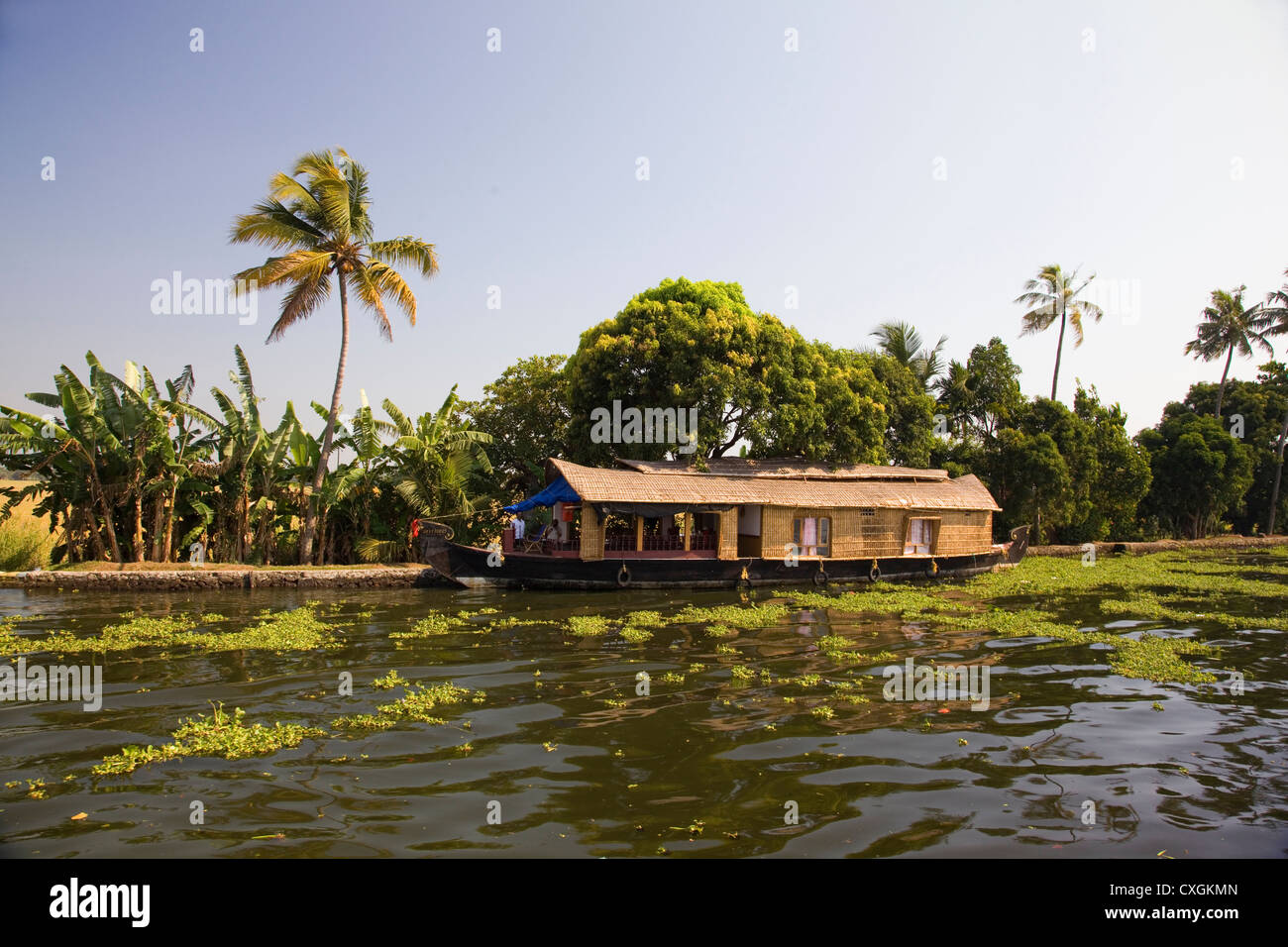 Casa Tradizionale barca ormeggiata lungo le rive del Canal nelle lagune nei pressi di Alleppey, Kerala, India. Foto Stock