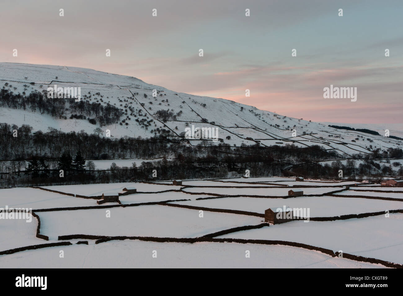 Gunnerside fienili in inverno, Yorkshire Dales, tramonto, neve, campi, sunrise, stalattite muri, alberi, inverno Foto Stock