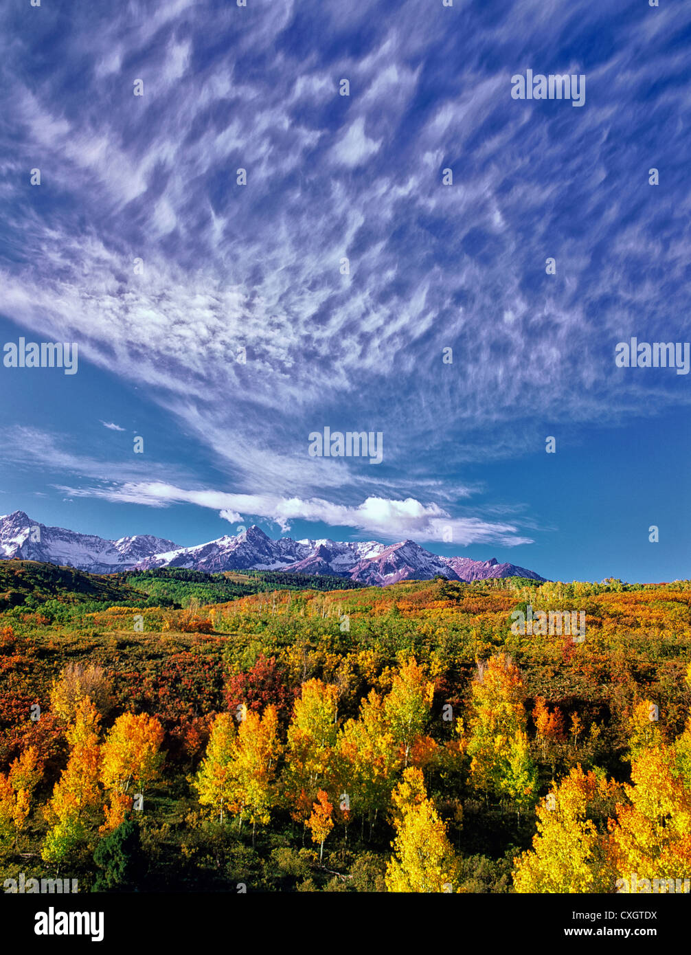 Le nuvole alte con fall aspens colorati e San Juan Mountains. Uncompahgre National Forest, Colorado Foto Stock