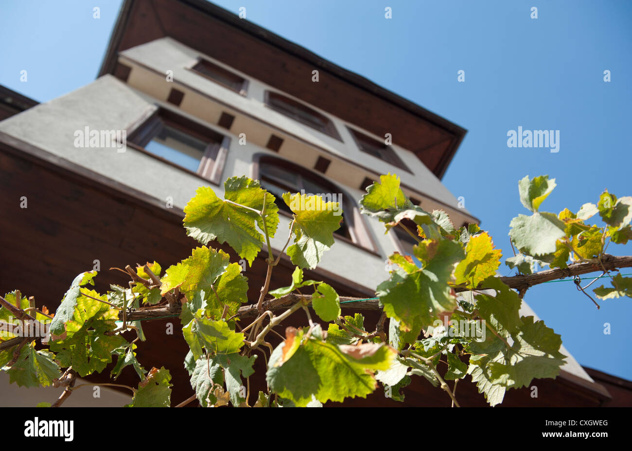 Casa Tradizionale con intonaco bianco e legno scuro ad Ankara della città vecchia, con vitigni crescente di fronte la sua facciata. Foto Stock