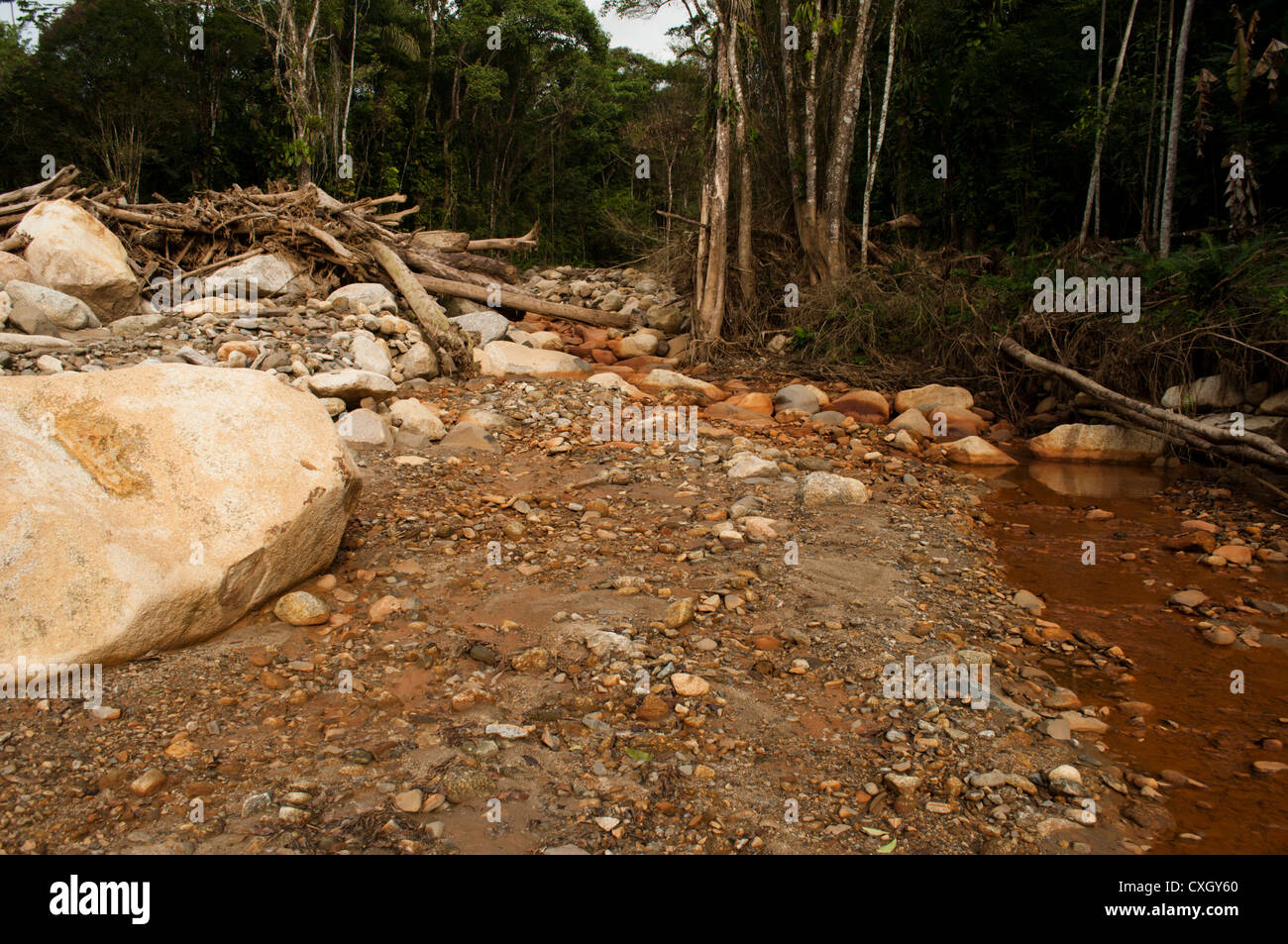 Frana tragedia causata dalla pioggia in dello stato del Paraná, Brasile del Sud Foto Stock