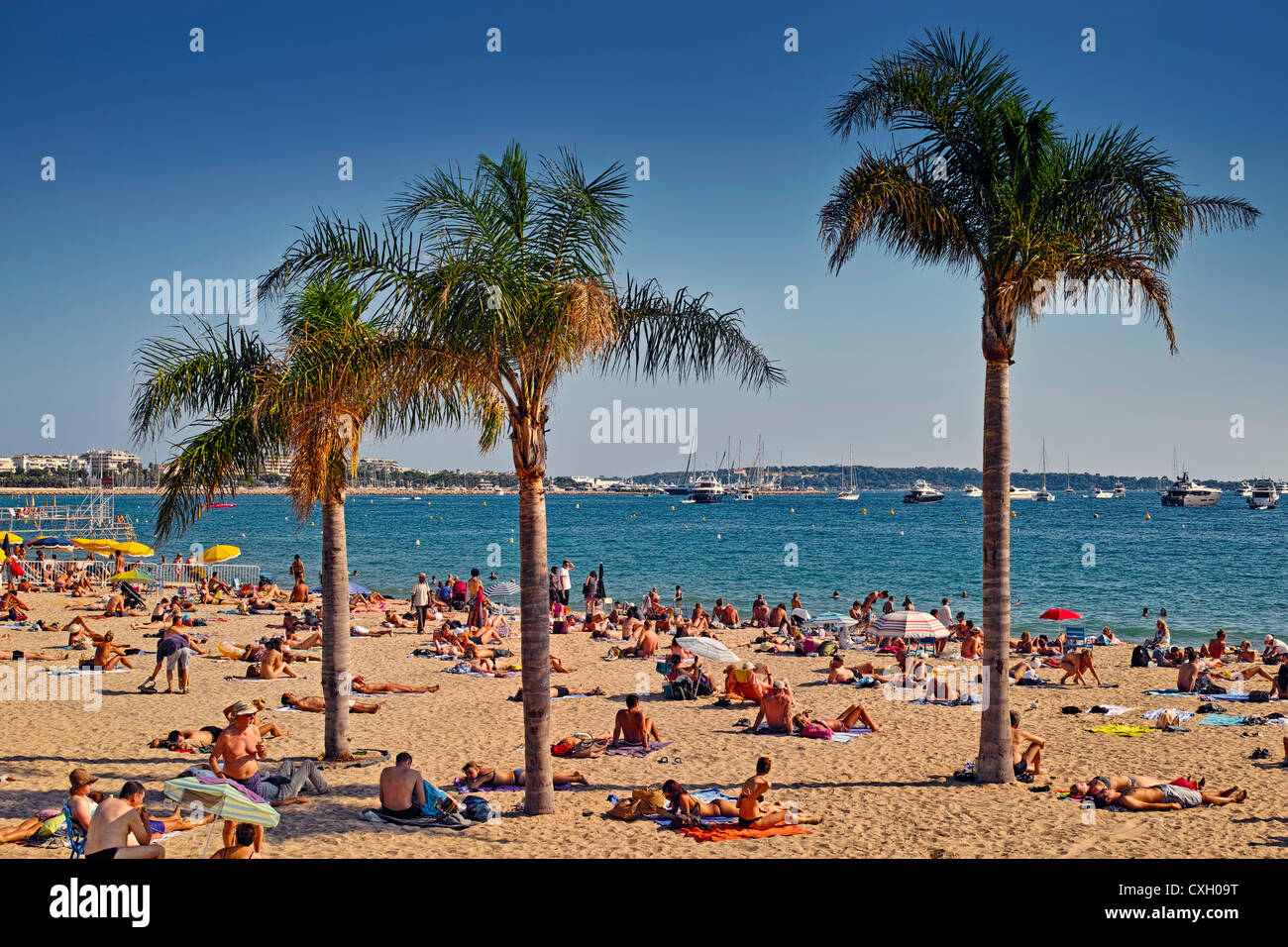 La spiaggia a Cannes Francia Foto Stock