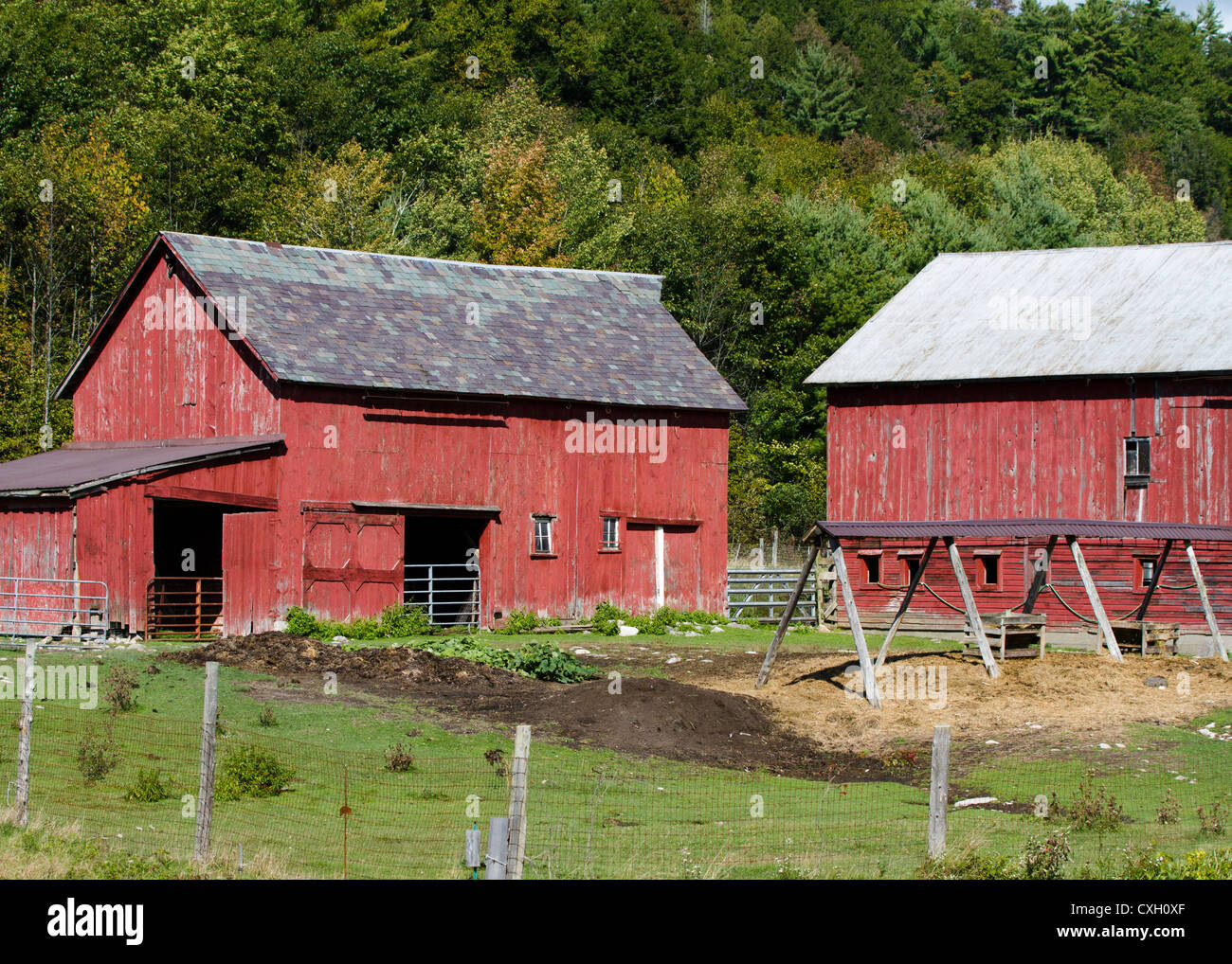 Edifici agricoli red fienili e versato Foto Stock