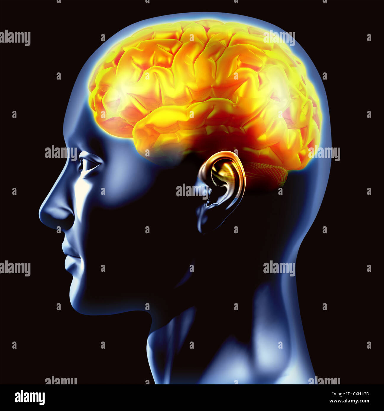 Testa umana dal lato, mostrando il cervello in attività. Foto Stock