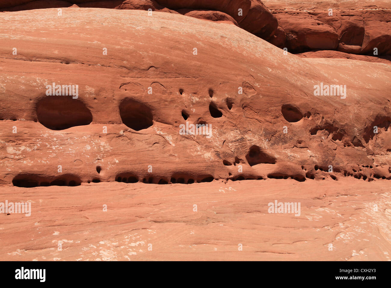 Arenaria porosa rock formazione nel Parco Nazionale di Arches, Utah Foto Stock