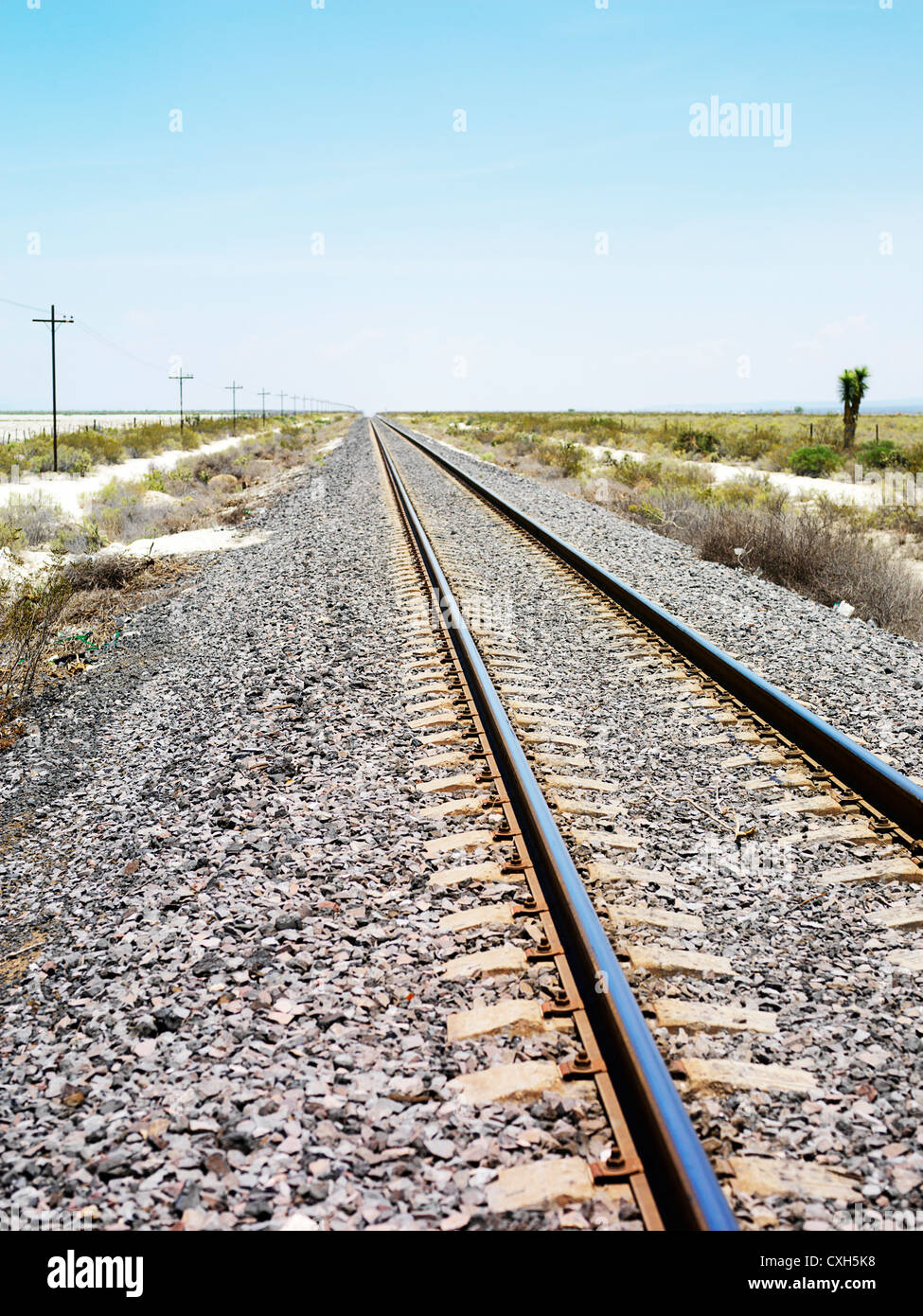 Binari del treno e un cielo blu chiaro, al di fuori di Real de Catorce, Messico, mostra la prospettiva e la profondità Foto Stock