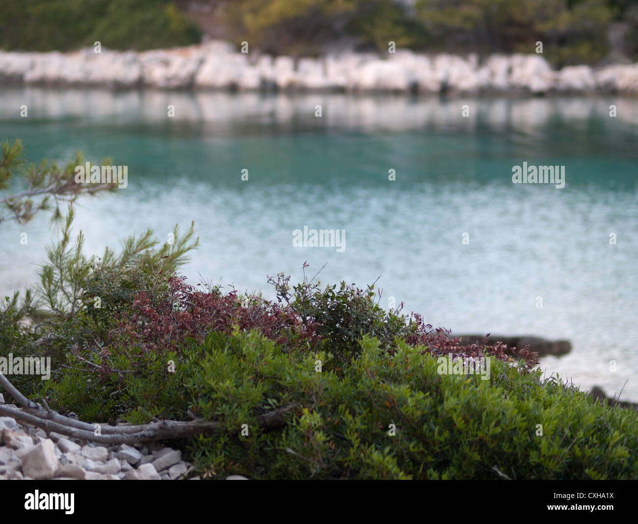 Guardare il mare da una piccola isola, Croazia Foto Stock