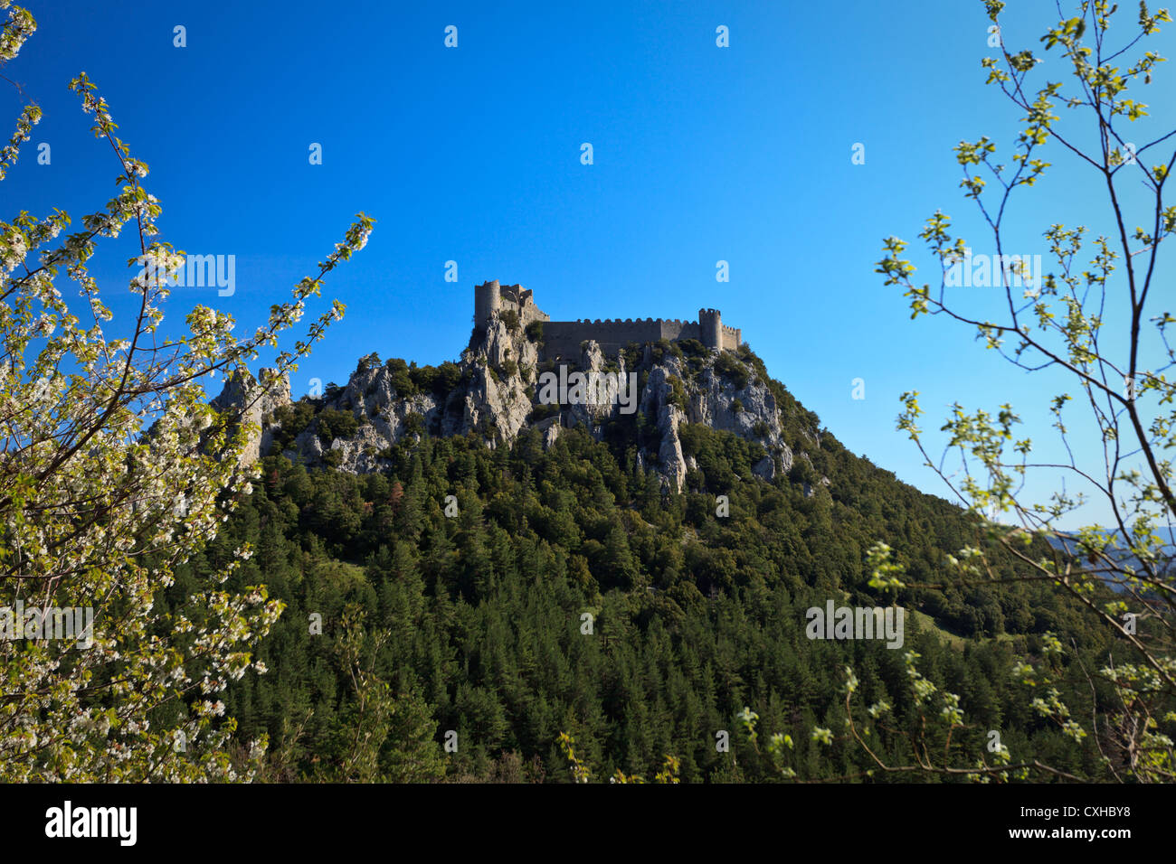 Vista del paesaggio incorniciato da nuova primavera gemme dei bastioni e torre di peyrepertuse, una dodicesima pietra medievale castello cataro, contro Foto Stock