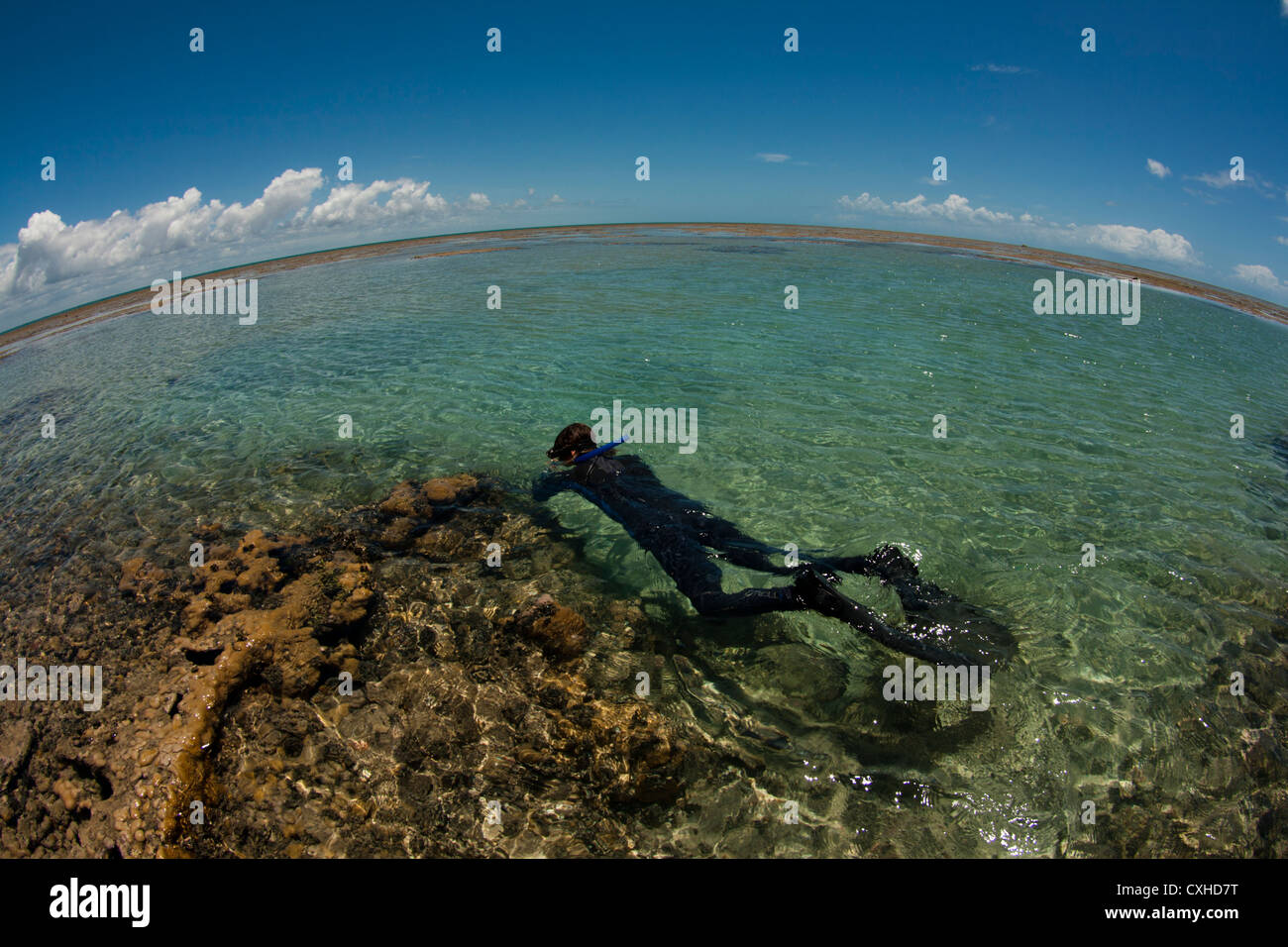 Apneista in un pool di marea a Sebastião Gomes reef, a sud di Bahia, vicino a Abrolhos Marine Park. facendo pesce ricerca di campionamento Foto Stock