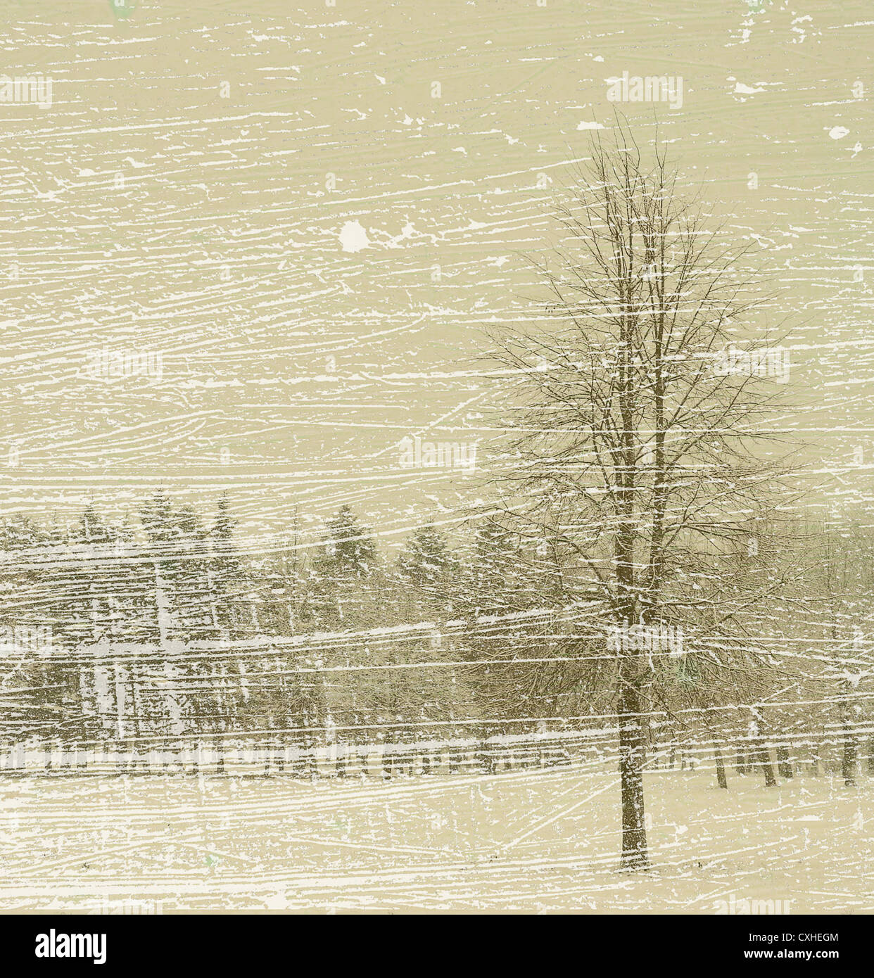 bufera di neve Foto Stock