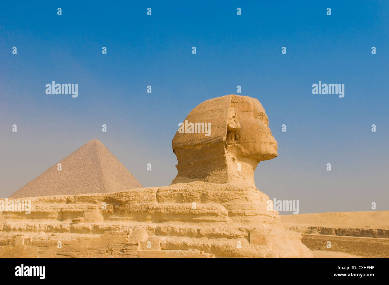 La sfinge e le piramidi di Giza, Il Cairo Foto Stock