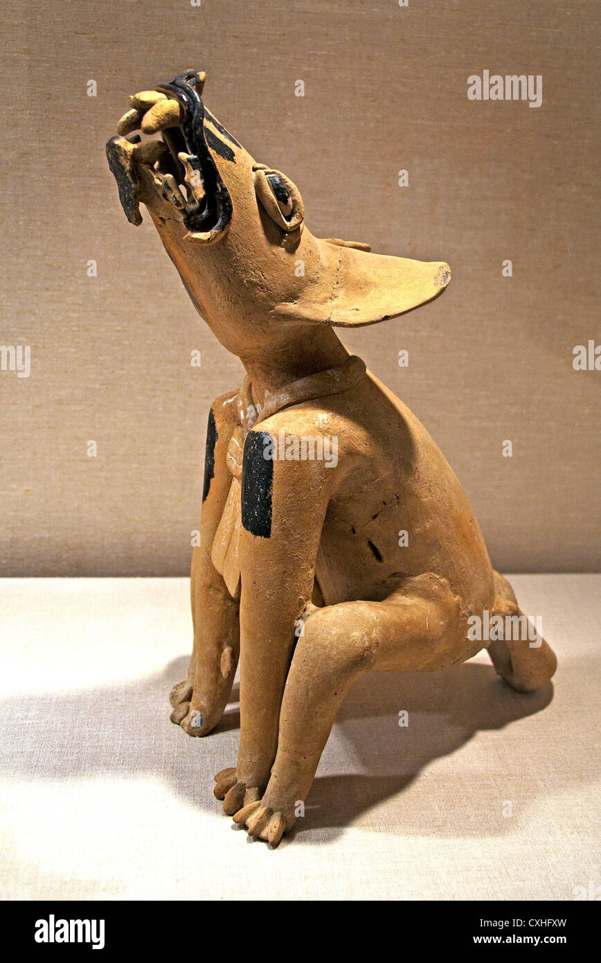 Ululati Canine del V secolo Messico Mesoamerica Veracruz ceramica Remojadas 51 cm Foto Stock