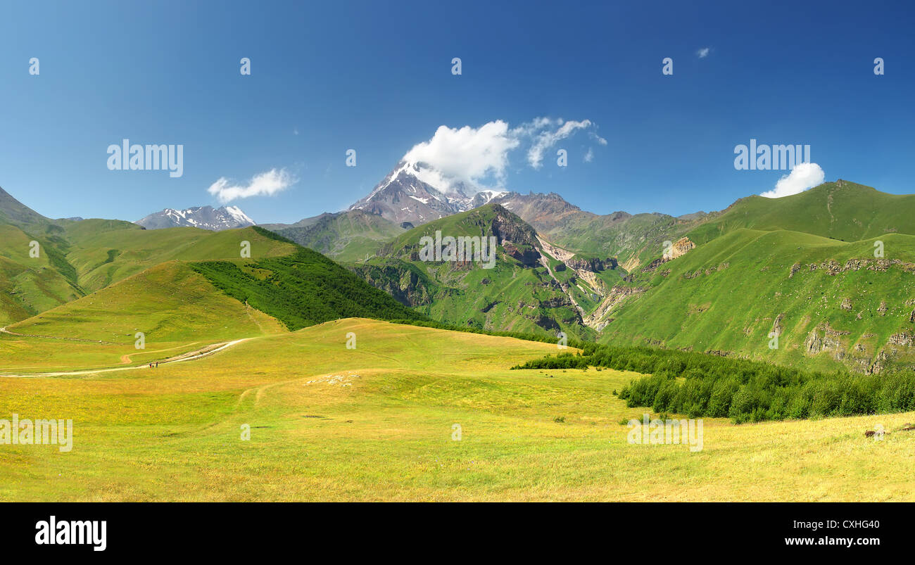 La gamma della montagna e luminoso Prato verde. Composizione panoramica Foto Stock