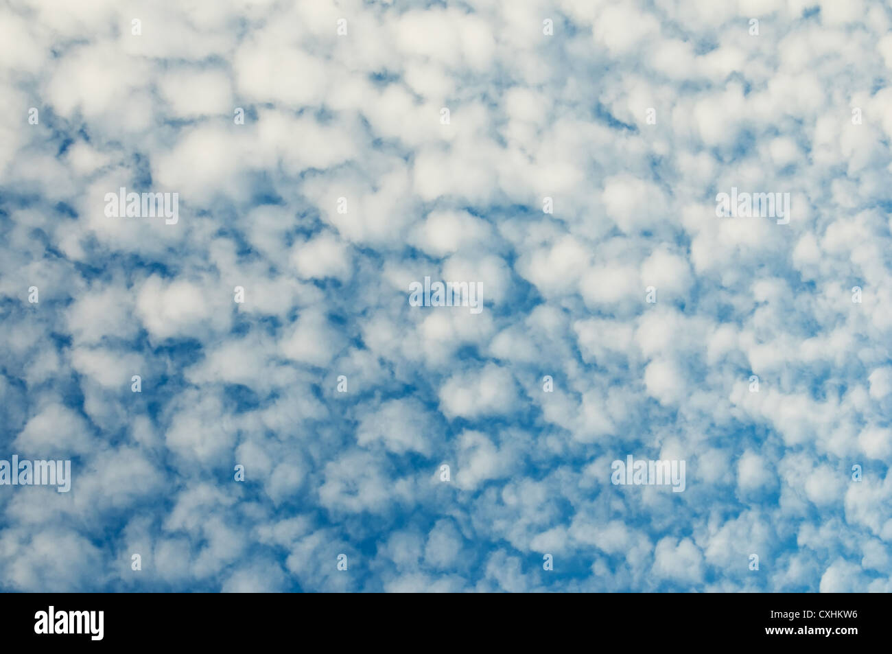 Sfondo con cielo nuvoloso Foto Stock