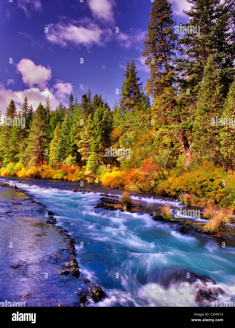 Metolius River con Autunno a colori. Oregon. Foto Stock