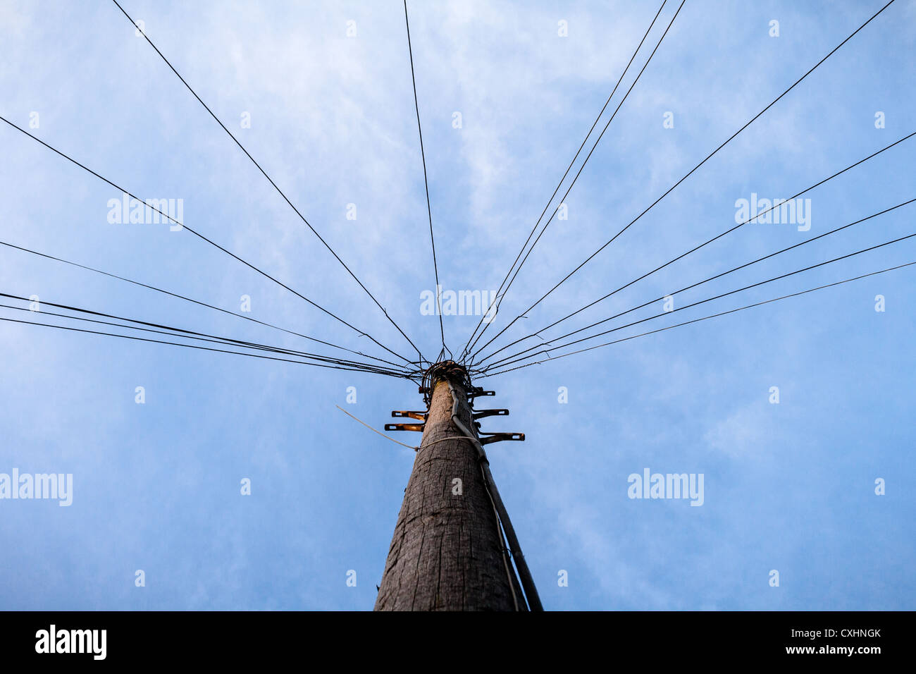 Basso angolo di visione del legno di un palo del telegrafo contro un luminoso cielo blu con nuvole a Belfast Foto Stock