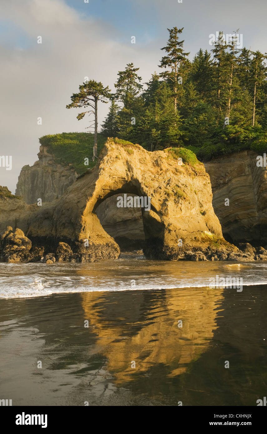 Arco Naturale, Pacific Coast, Quinault Indian Reservation, Penisola Olimpica, Washington Foto Stock