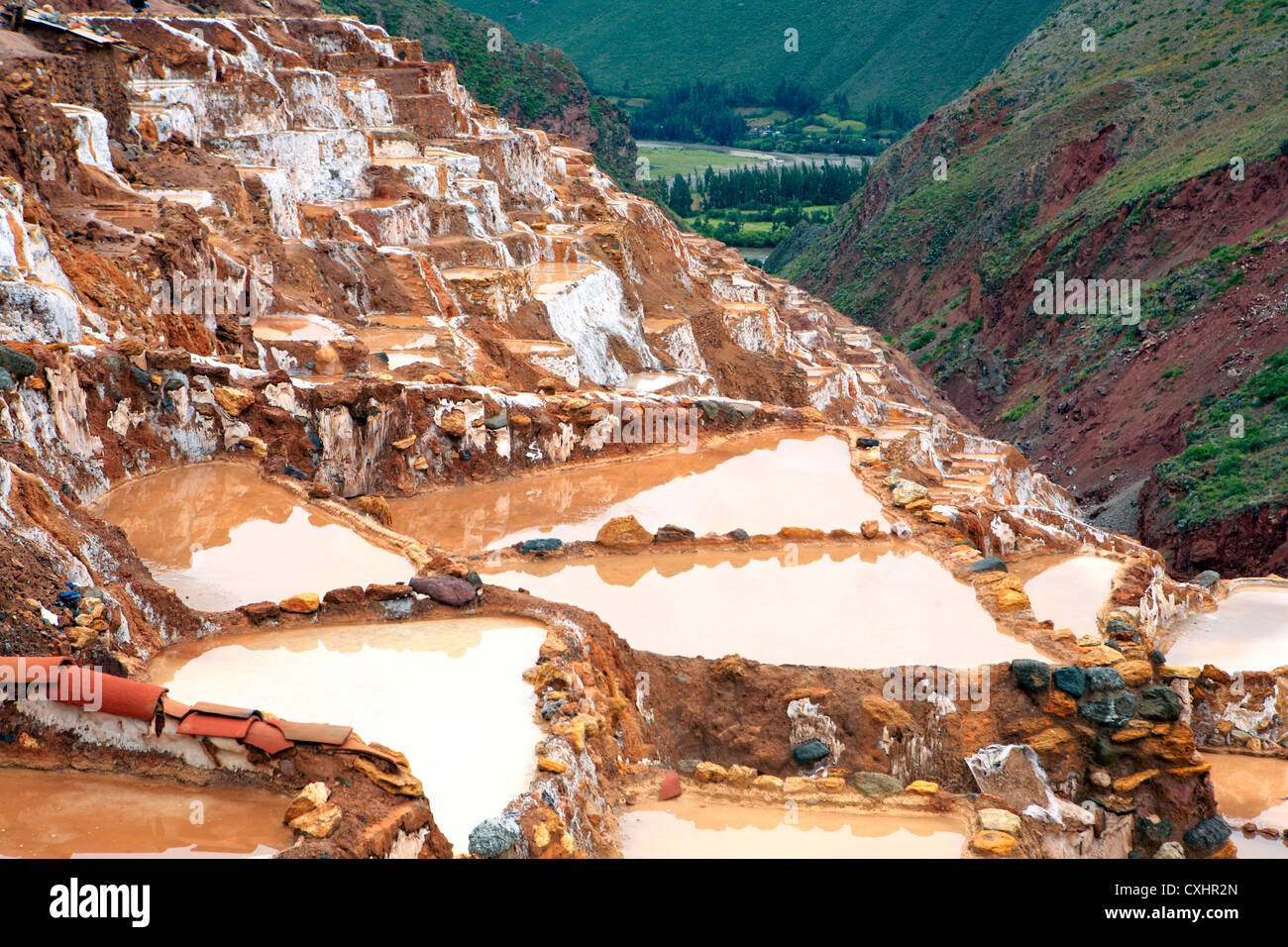 Le saline di Salinas, vicino Urubamba, Valle Sacra, Arequipa, Perù Foto Stock