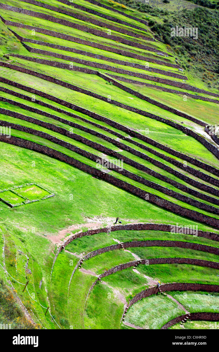 Moray, sito archeologico, Cuzco, Perù Foto Stock
