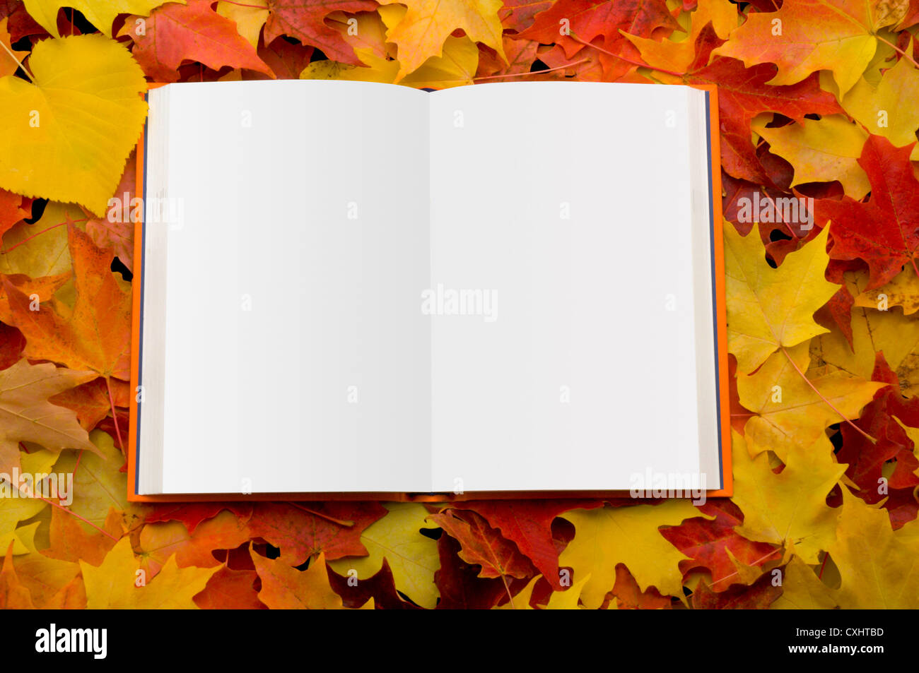 Libro aperto su foglie di autunno Foto Stock