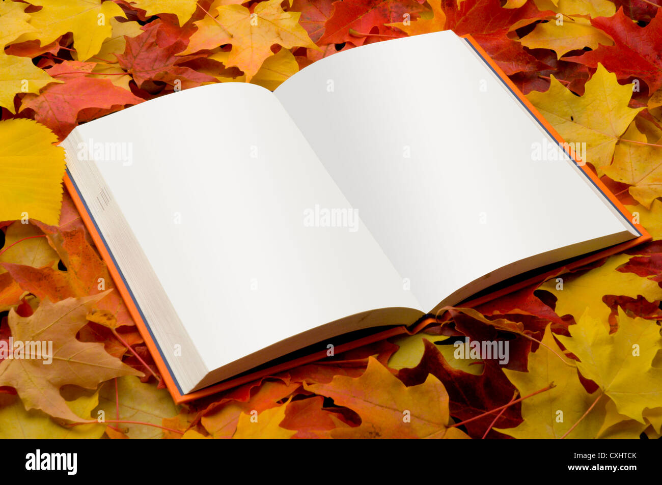 Libro aperto su foglie di autunno Foto Stock