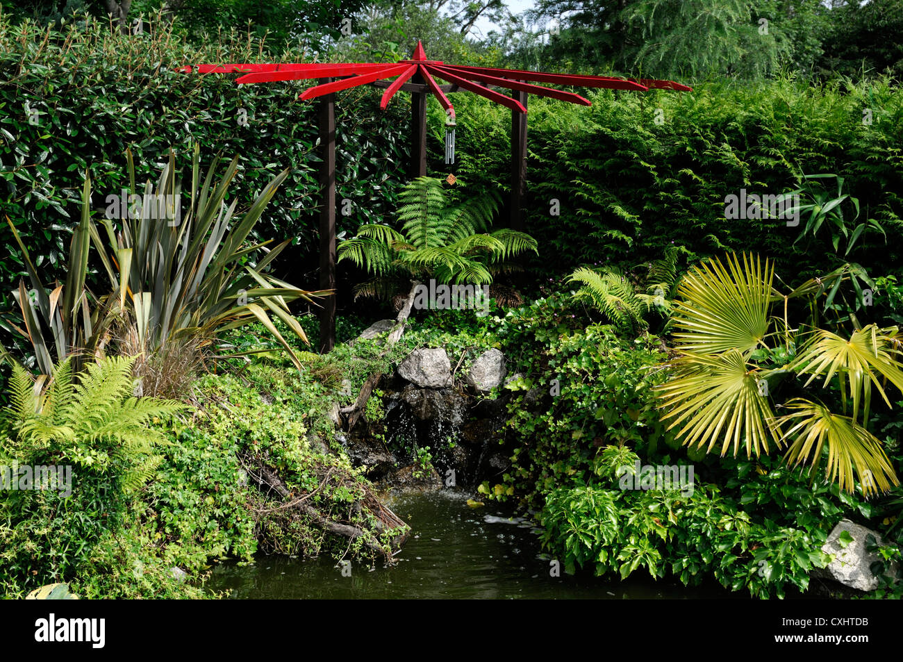 Giardino esotico area giardino nazionale al centro esposizioni Wicklow Irlanda design gardening dicksonia palm phormium ferns Foto Stock