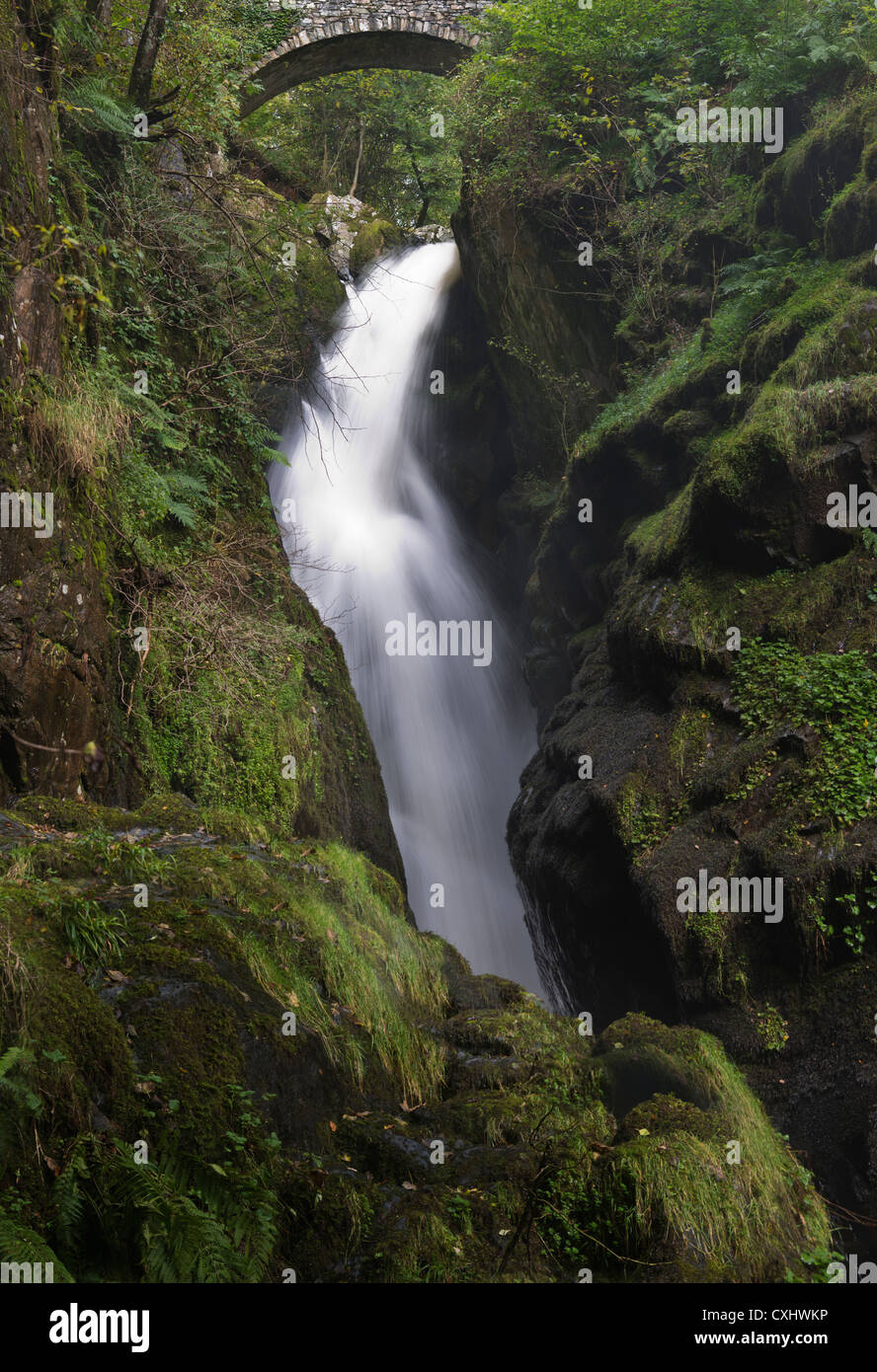 Aira Force cascata vicino a Ullswater Lake District Cumbria North West England Regno Unito Foto Stock