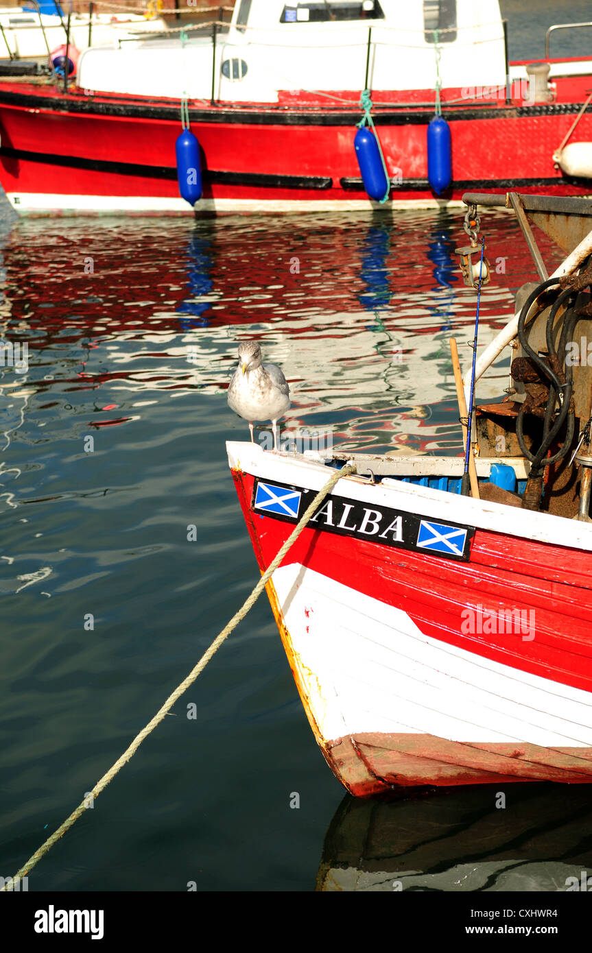 Dunbar Harbor,barche da pesca.la Scozia. Foto Stock