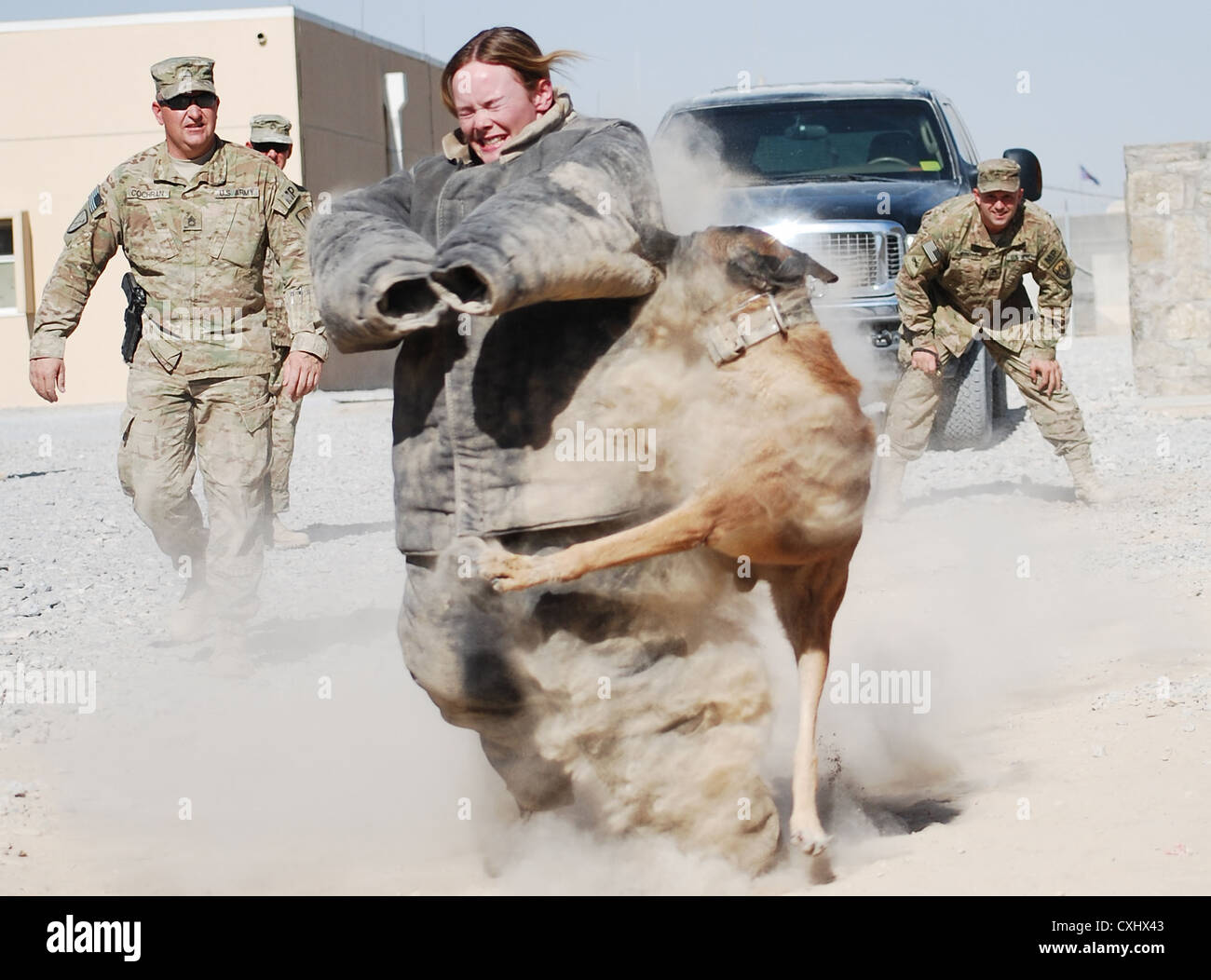 Esercito degli Stati Uniti in cpl. sharon glanville, food service specialist assegnato alla società di segnale, la divisione ha sede e sede battaglione, terza divisione di fanteria, da charlotte, fl., partecipa a un militare-lavoro a dimostrazione del cane, sept. 29, 2012, a Kandahar airfield, Afghanistan. Foto Stock