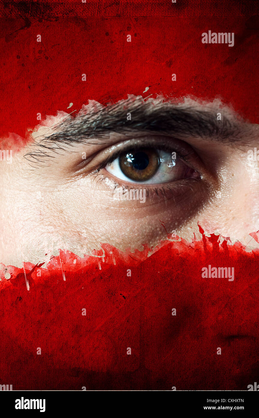 Bandiera austriaca dipinta sulla faccia di un team nazionale sostenitore, close up di un maschio di occhio. Foto Stock