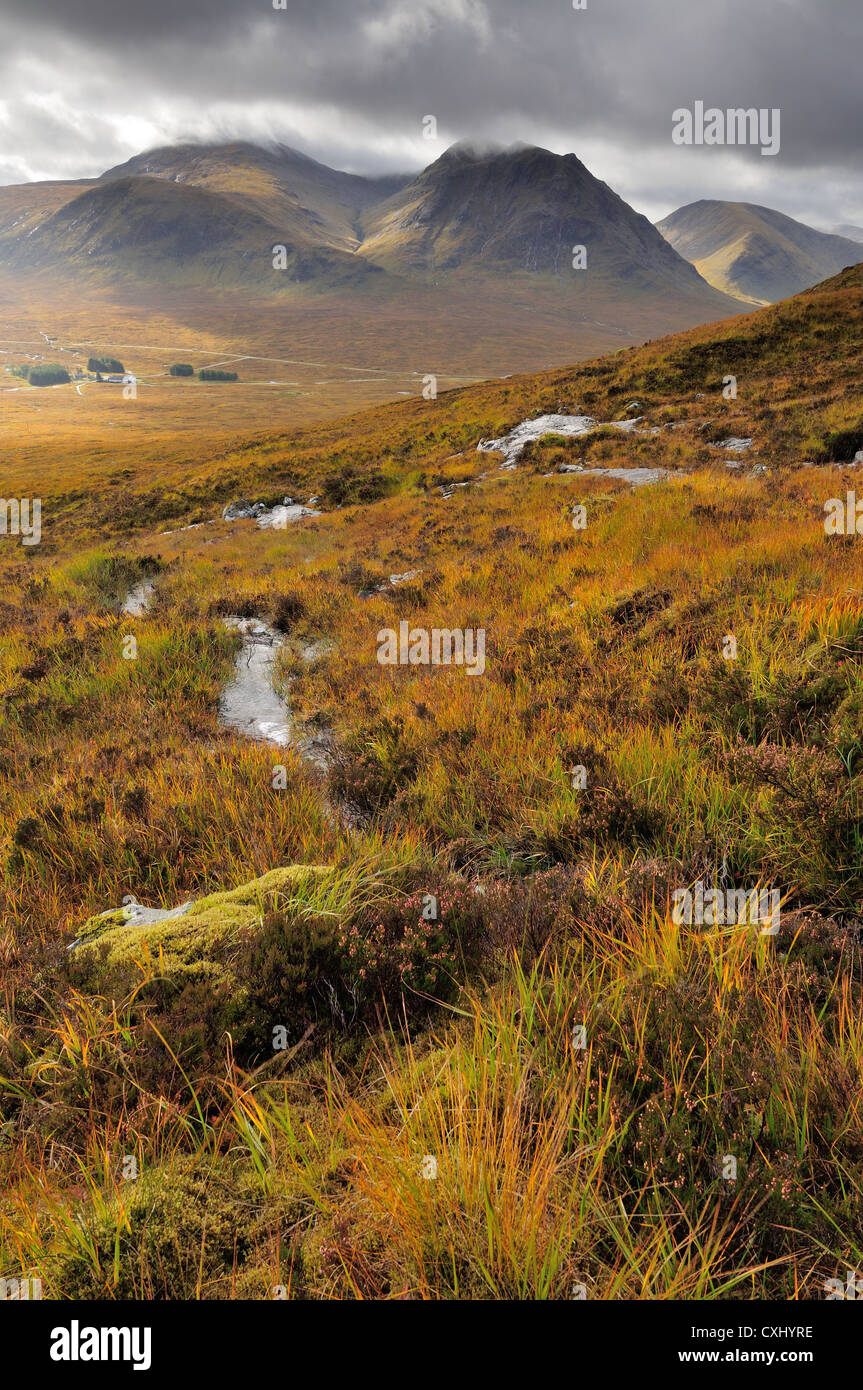 Vista verso la Meall un' Bhuiridh e Creise dalle pendici del Beinn un Chrulaiste in autunno, Glencoe, Highlands scozzesi Foto Stock
