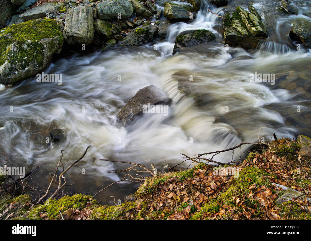 Vigorosa piccolo ruscello portando giù snowmelt in primavera nei pressi di Kilin, Perthshire, Scotland, Regno Unito Foto Stock