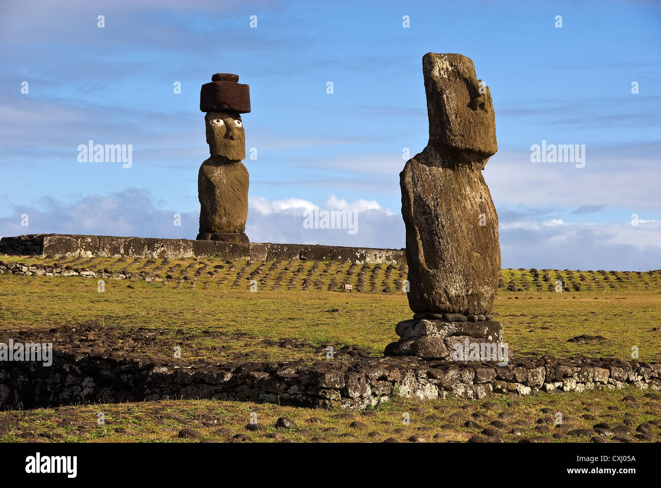 Elk198-5099 Cile, Isola di Pasqua, Hanga Roa, Ahu Ko Te Riku, moai statue Foto Stock