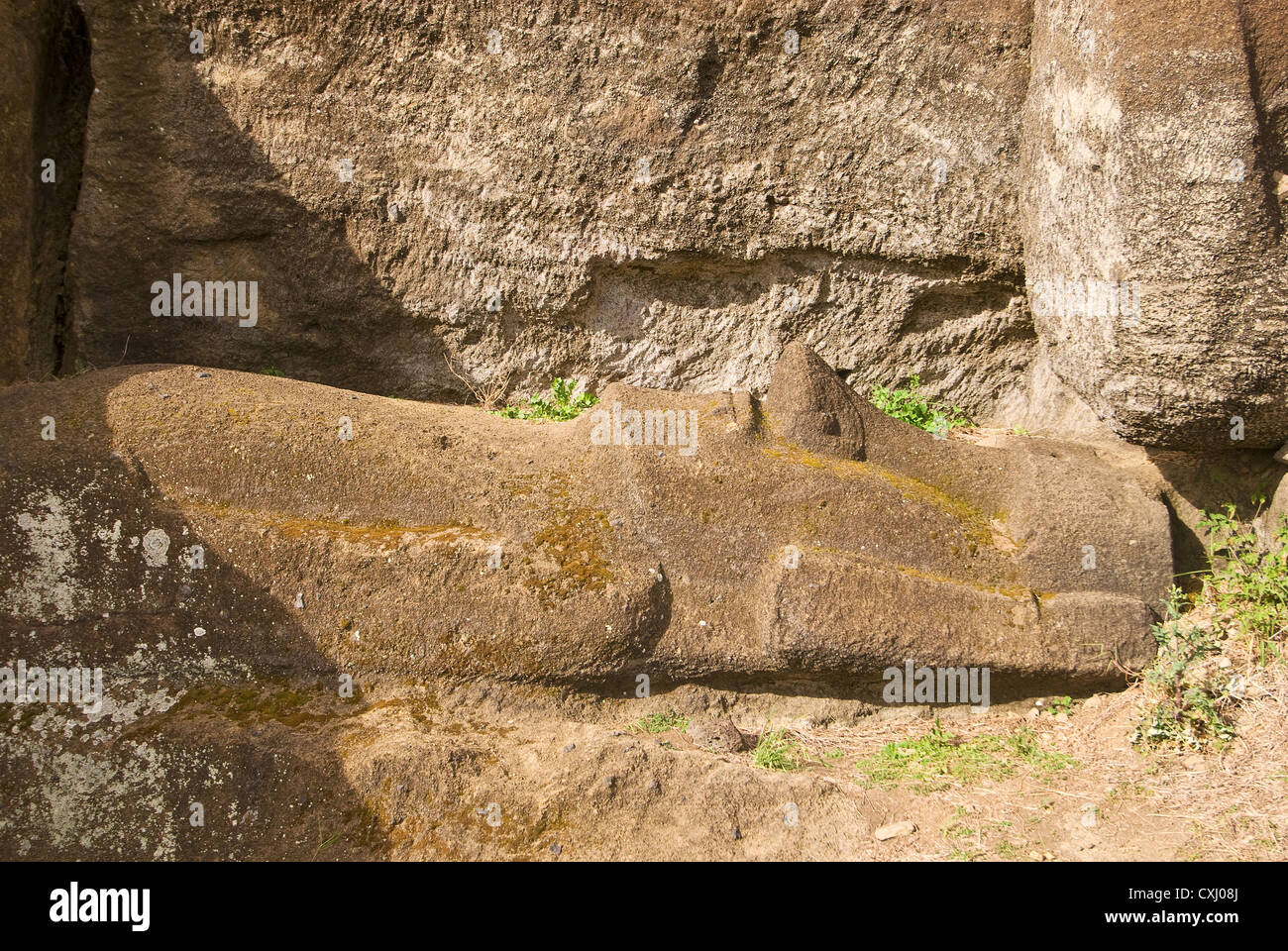 Elk198-5251 Cile, Isola di Pasqua, Rano Raraku, moai quarry Foto Stock