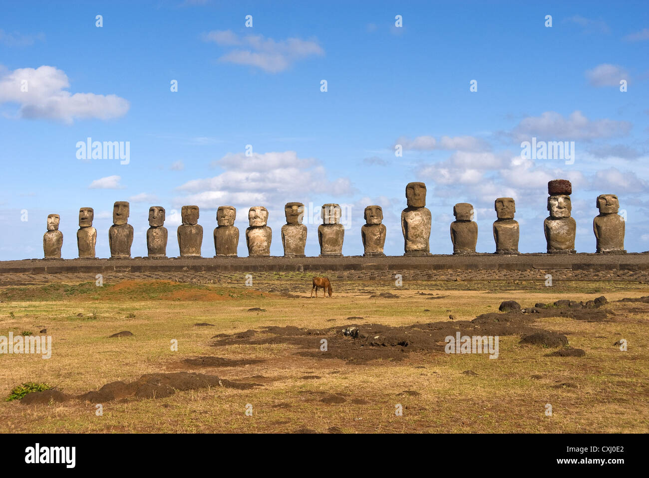 Elk198-5344 Cile, Isola di Pasqua, Ahu Tongariki, moai statue con cavallo Foto Stock