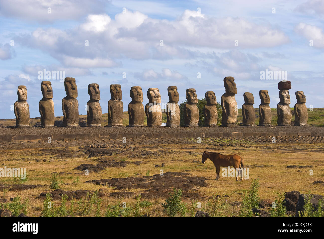 Elk198-5348 Cile, Isola di Pasqua, Ahu Tongariki, moai statue Foto Stock