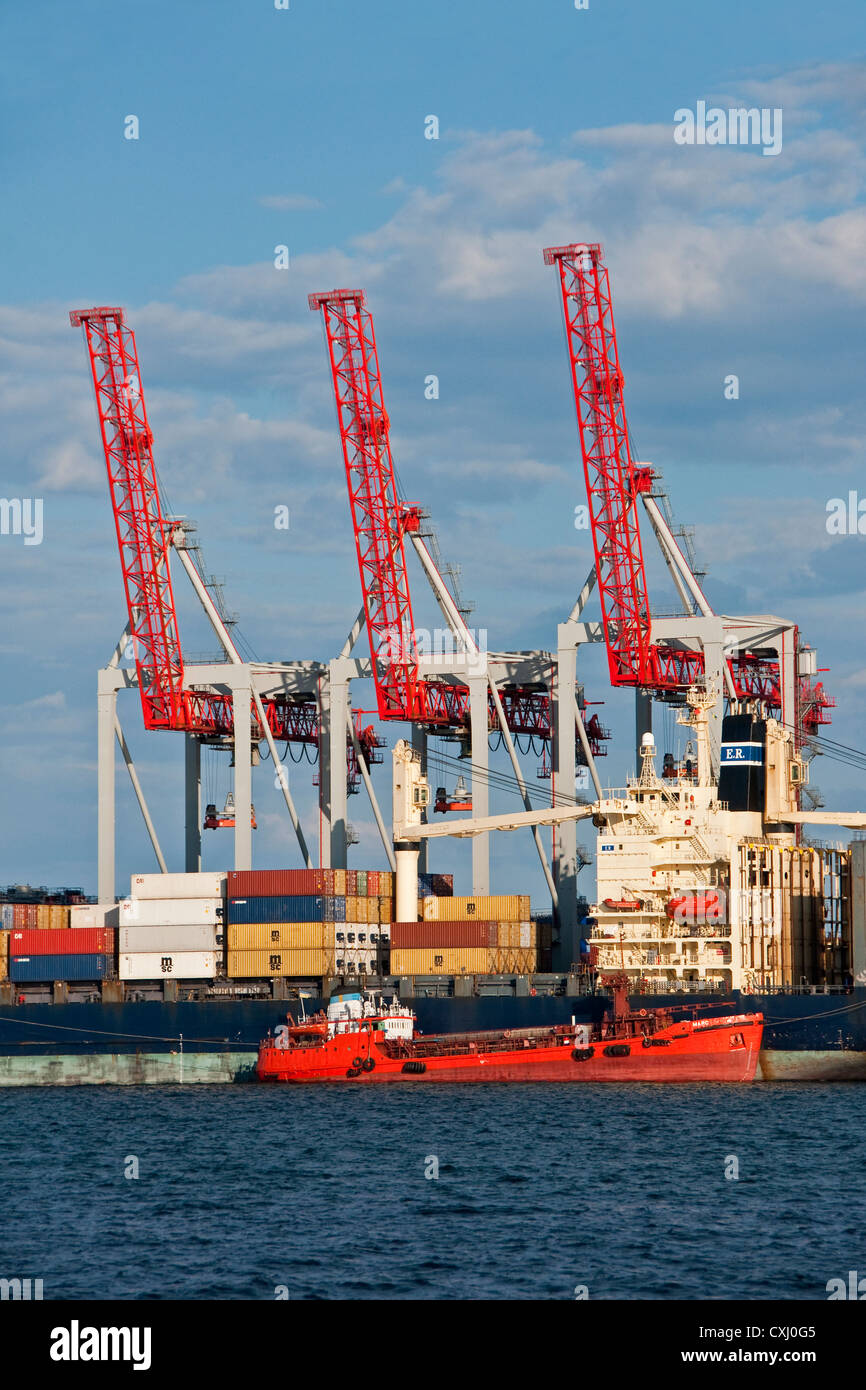 Porto di Odessa di gru per il caricamento di navi portacontainer Foto Stock