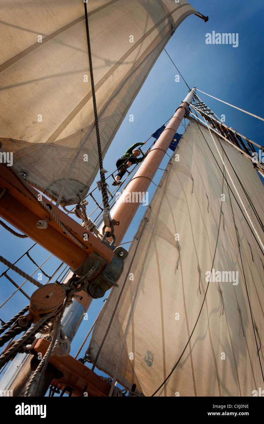 Una donna si arrampica per le manovre di una goletta per impostare una vela durante una goletta gara di Bellingham Bay, Washington. Foto Stock