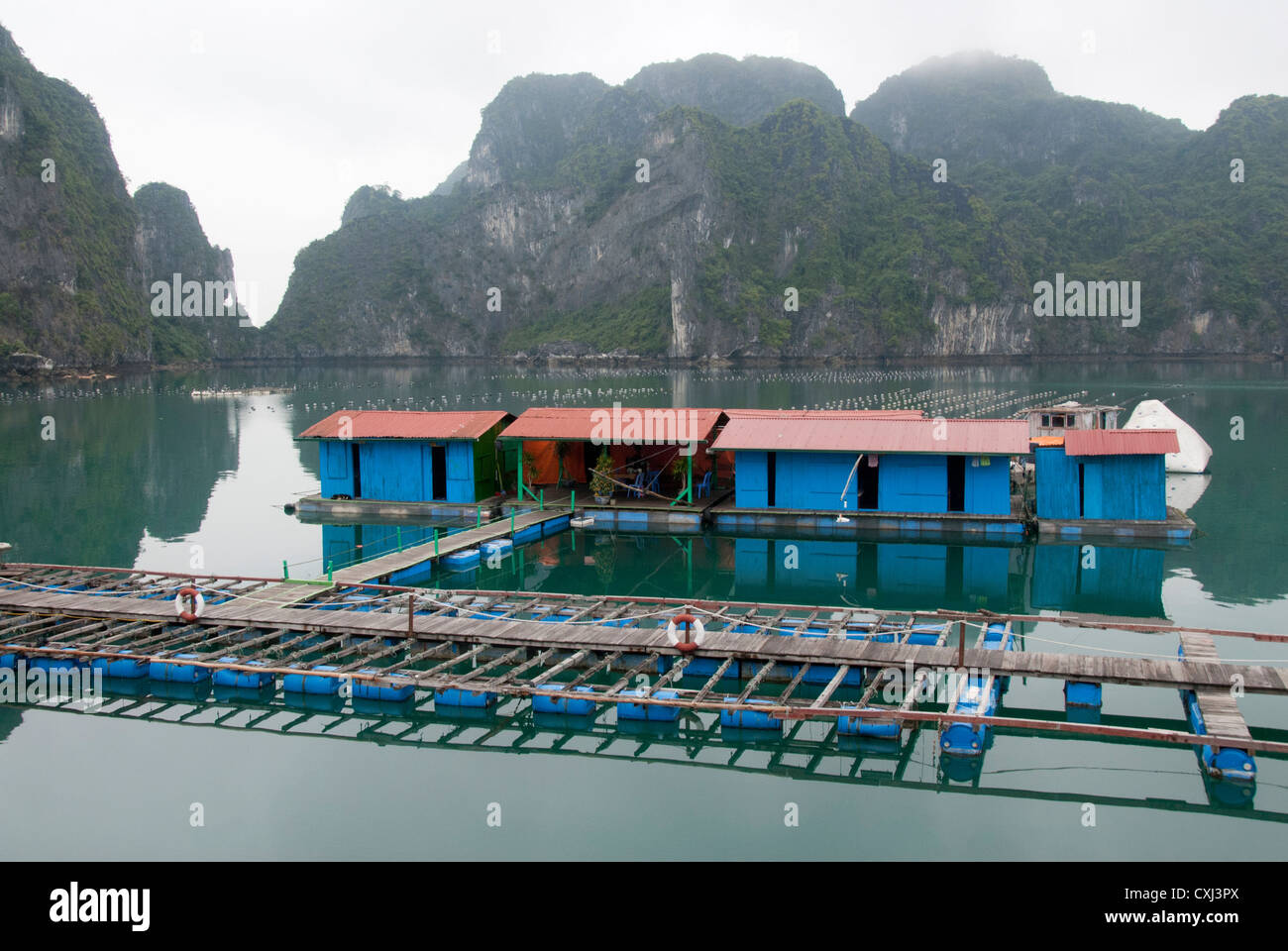 Floating Pearl Farm calcaree e carsiche formazioni rocciose, Halong Bay, Vietnam Foto Stock
