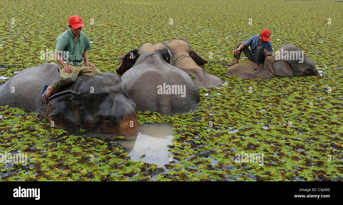 Felice papà reca grave podgy carino figlio. Foto Stock