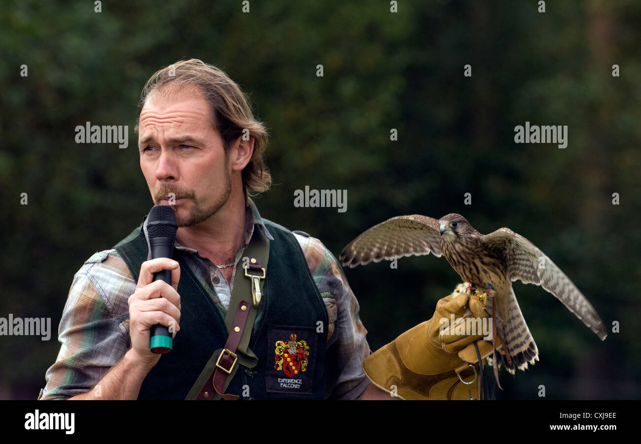 Falconer al lavoro tenendo il gheppio a una commissione forestale scoperta giorno, Alice Holt foresta, Farnham, Surrey, Regno Unito. Foto Stock