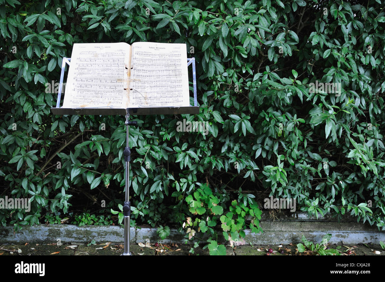In Germania, in Baviera, nota musicale con stand e hedge in background Foto Stock