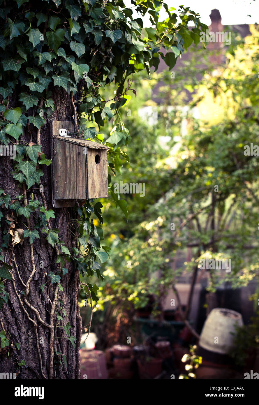 Uccelli nidificanti box su albero Foto Stock