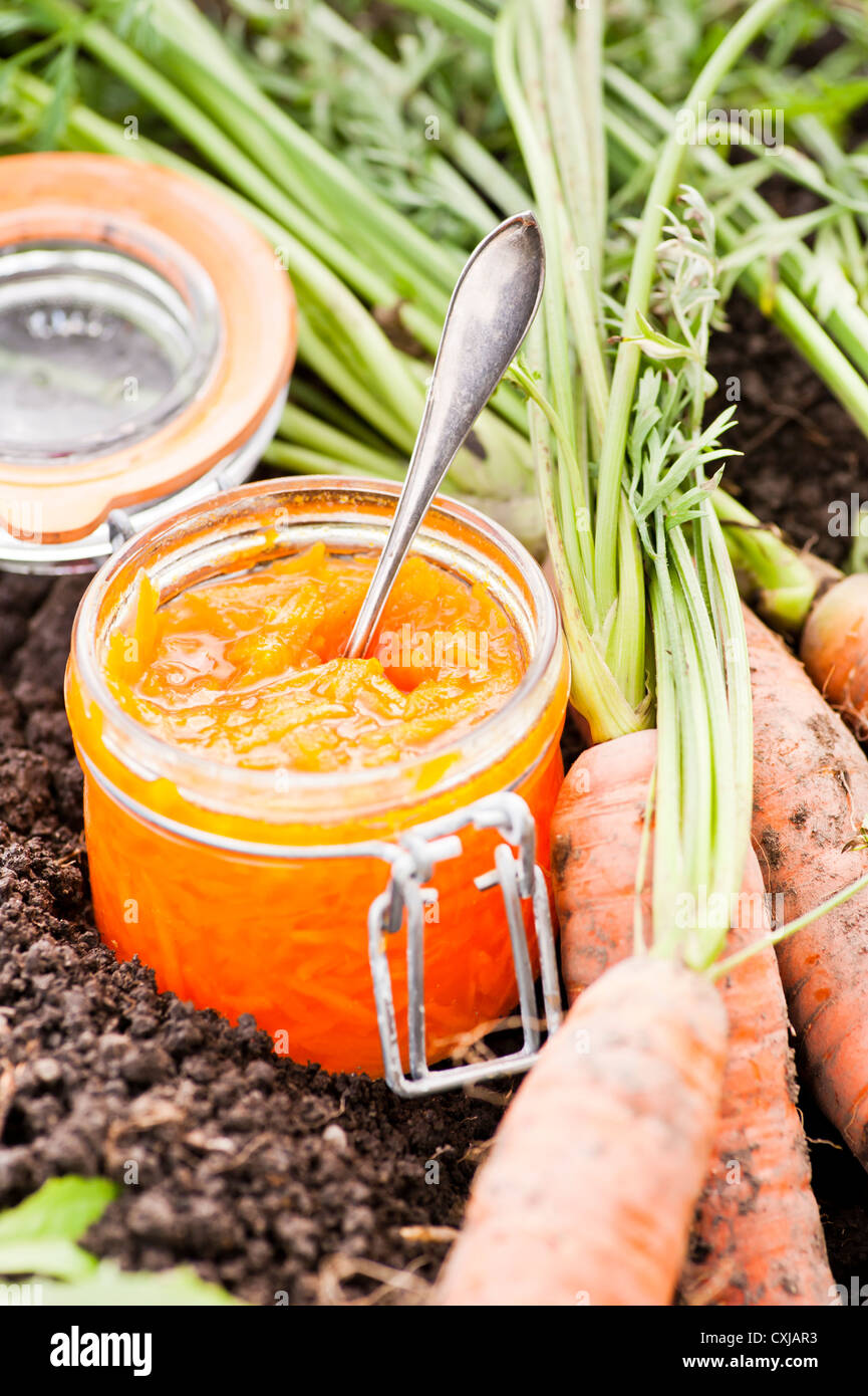 Primo piano della materie carote nella sporcizia in un orto con un contenitore in vetro di marmellata di carota Foto Stock