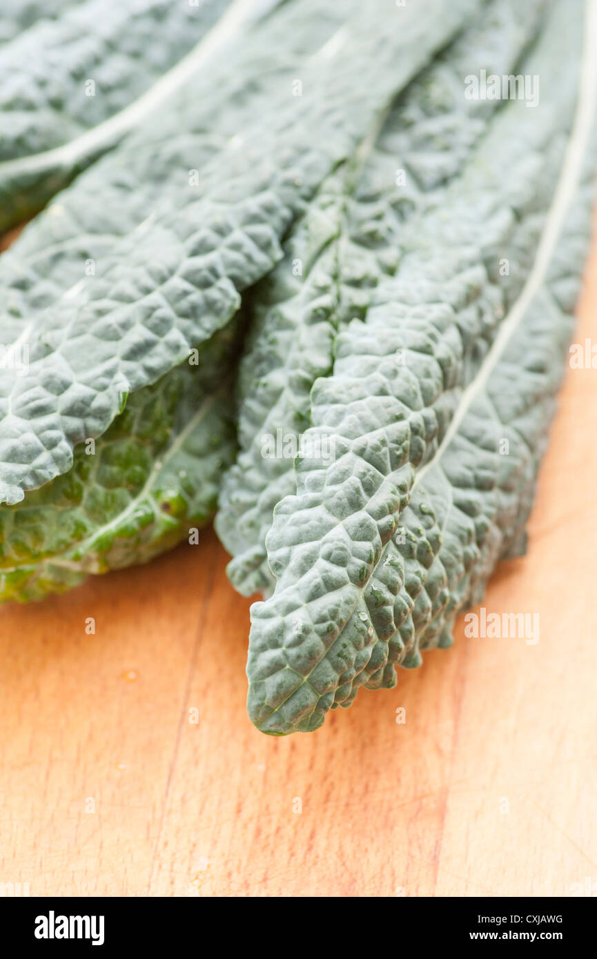 Primo piano di foglie colewort Foto Stock