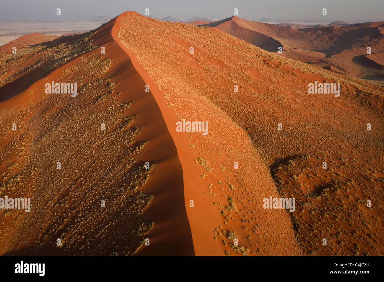 Dune di Sossusvlei Parco Nazionale, Namibia. Foto Stock