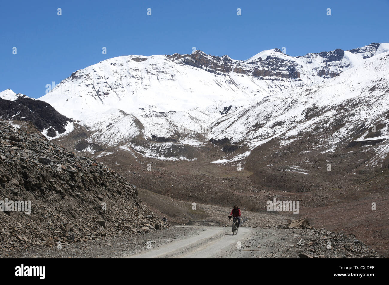 Ciclista vicino patseo, manali-leh autostrada, lahaul e spiti, Himachal Pradesh, India Foto Stock