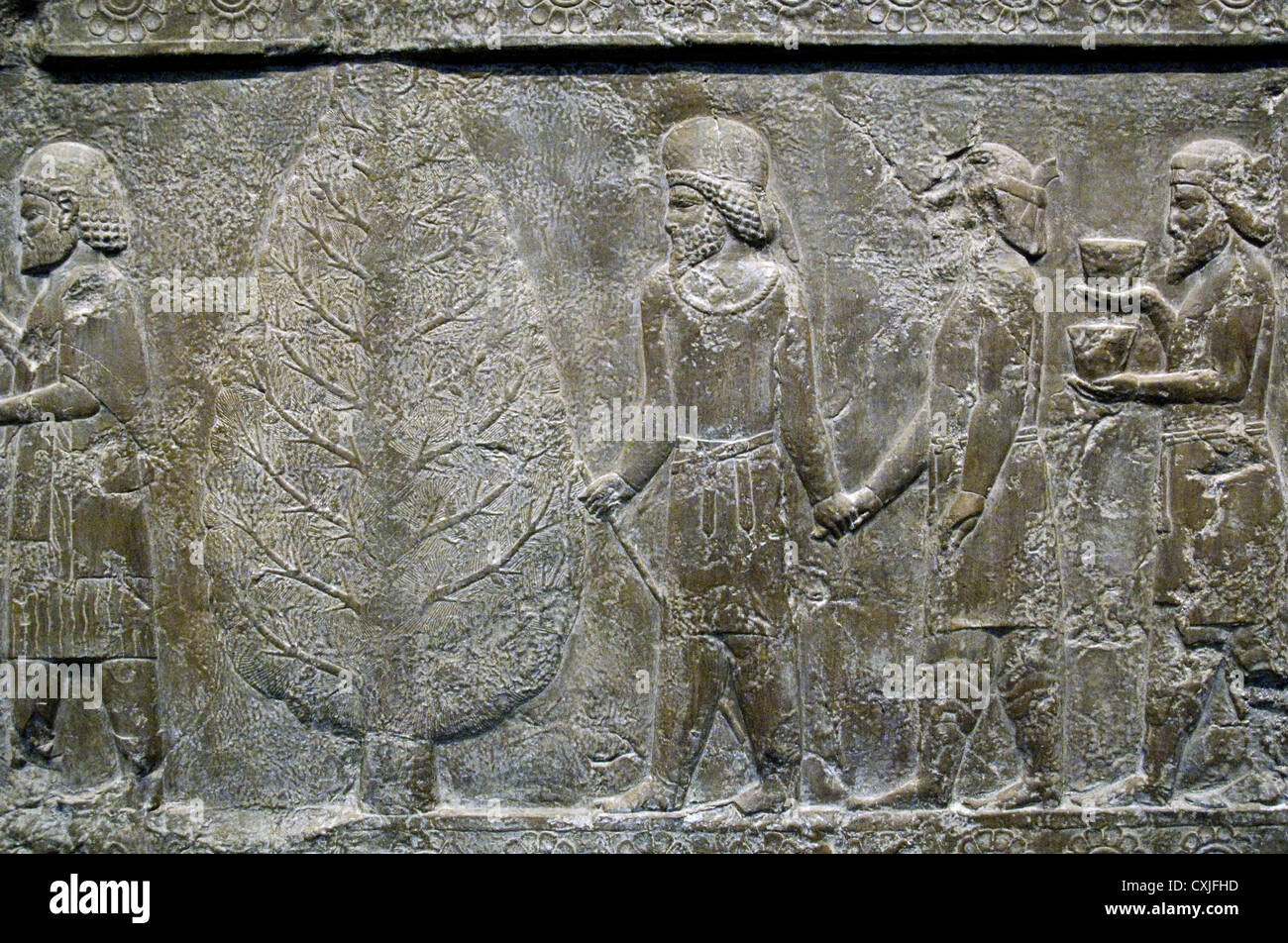Palazzo di Dario I. rilievi della scala della Apadana. E Phartians bactrians offerte di trasporto. Persepolis. Copia. Foto Stock