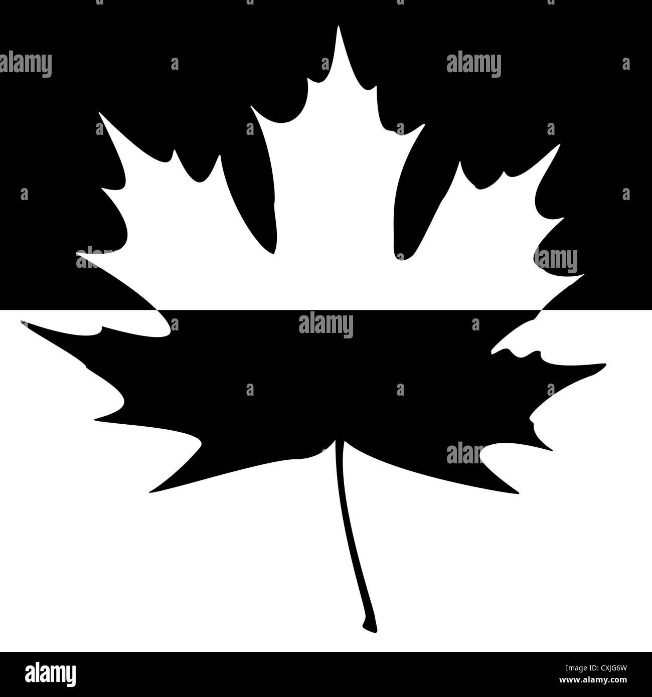 Mezza scolpito ombreggiata maple leaf. Illustrazione Vettoriale. Foto Stock